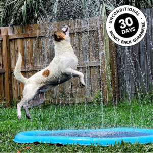 DoggySplash - Cooling, Playful, Dog Sprinkler Pad!