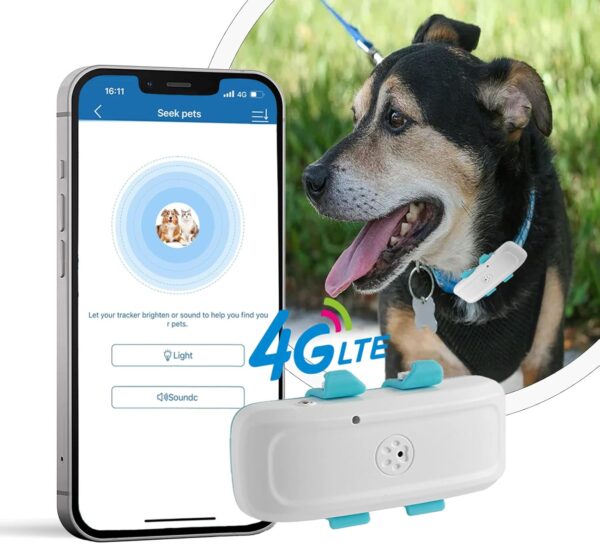 DoggoWander GPS Collar