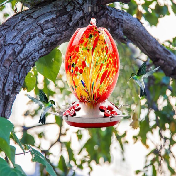 Dotmalls Hummingbird Feeder