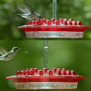 Dotmalls Sweety Hummingbird Feeder