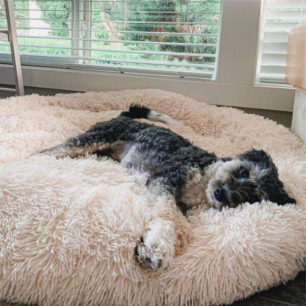 FluffyRelieve - World's #1 Anxiety Relieving Pet Bed