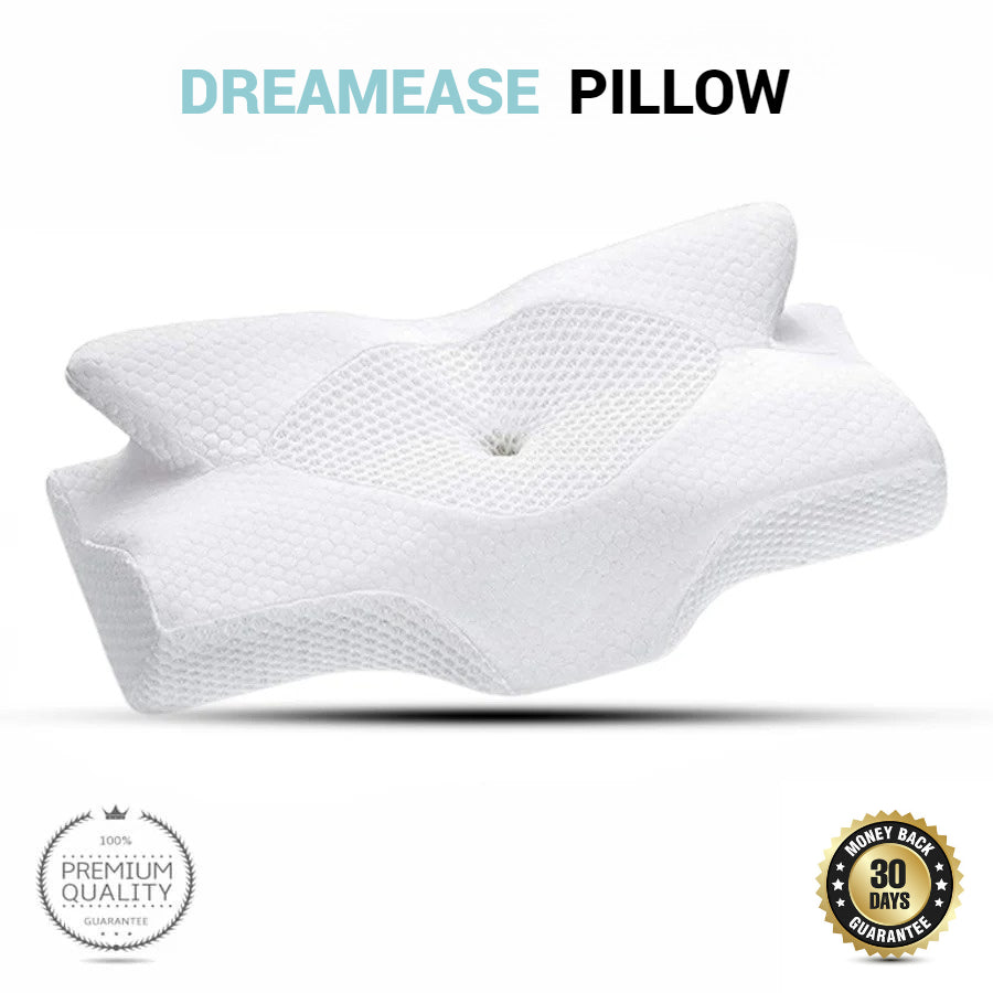 DreamEase Memory Foam Pillow