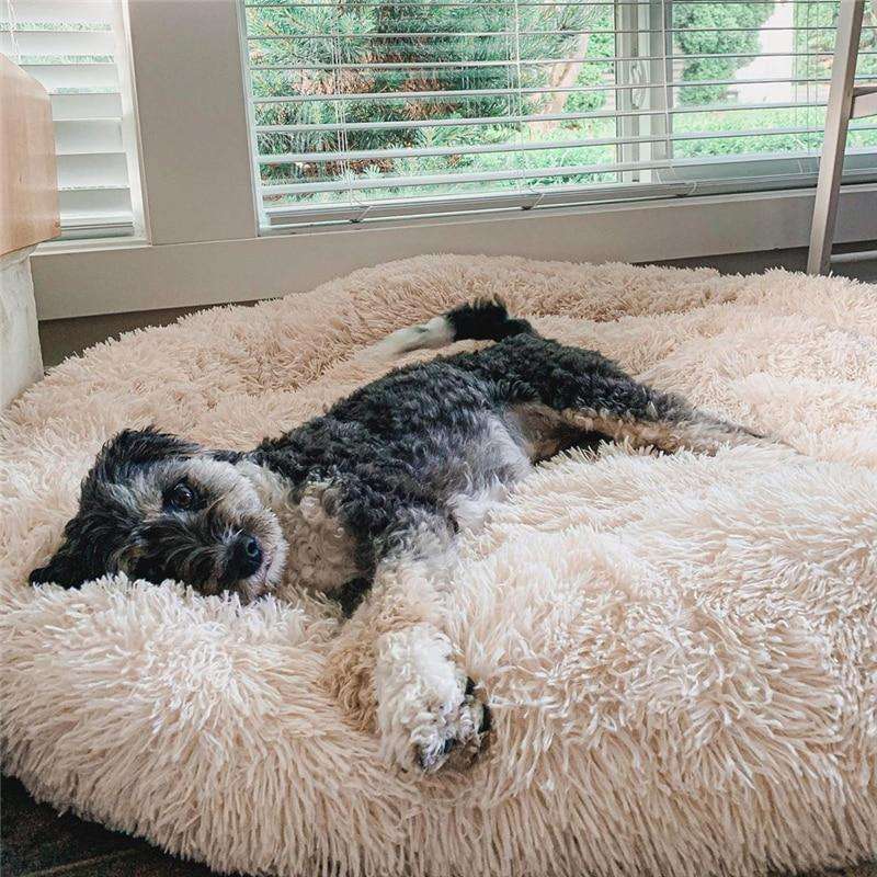 World's #1 Anxiety Relieving Dog Bed