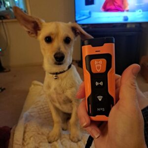 QuietK9 Premium Dog Trainer