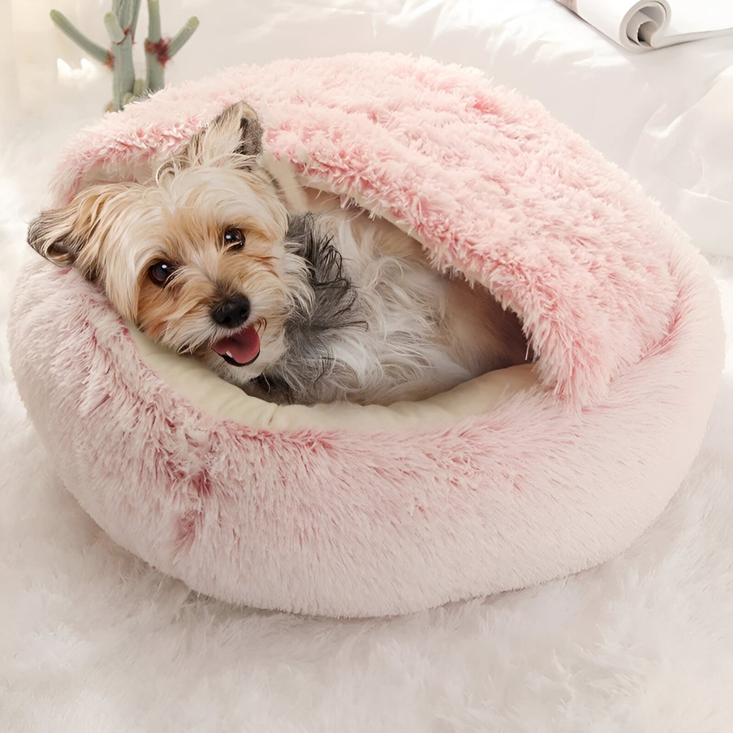 Calming Seashell Bed