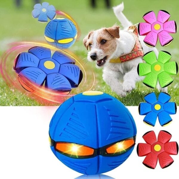 Doggy Delight Disc