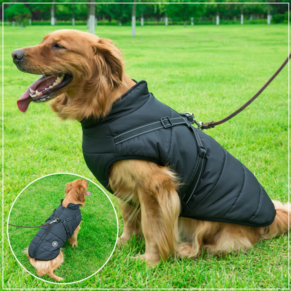 Pawsome 3 in 1 Jacket